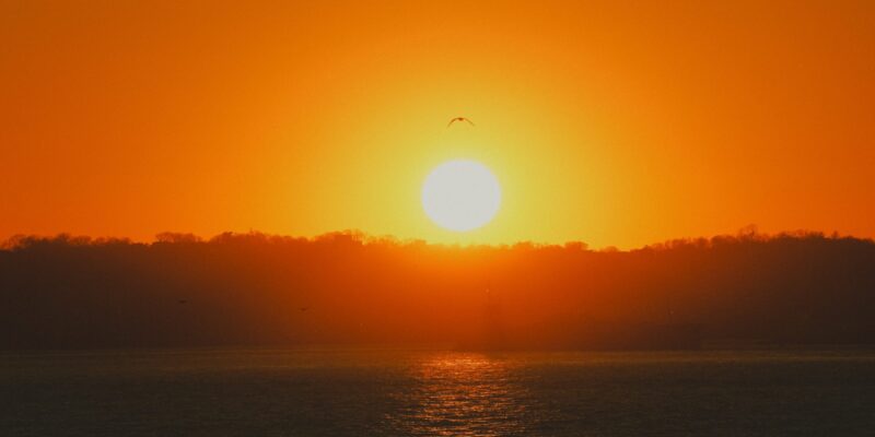 free-photo-of-paesaggio-tramonto-foresta-lago